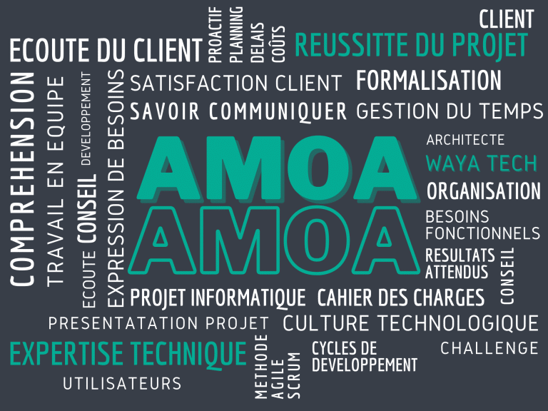 L’assistance à maîtrise d’ouvrage (AMOA)